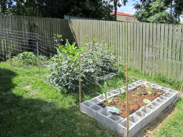 Fenced off vegetable garden
